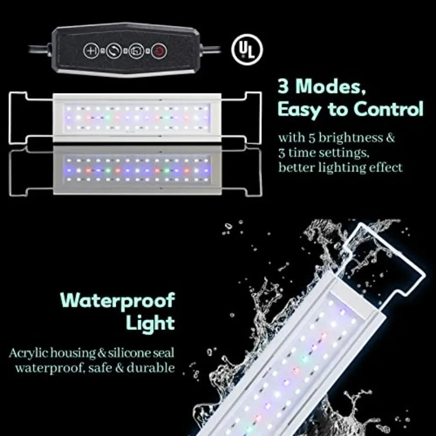 Rimless Glass Aquarium Starter Kit Ultra Clear Low Iron Tank
