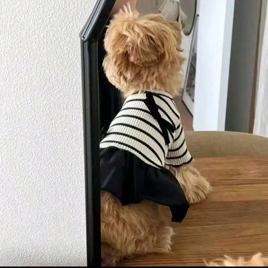 Dog Striped Casual Dress Lightweight Fabric For Spring Summer