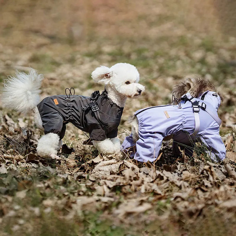 NONE Dog Raincoat With Harness Waterproof Jacket Reflective Strips