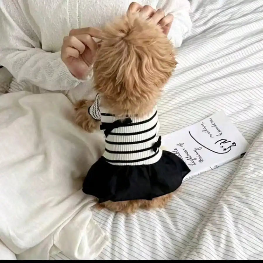 Dog Striped Casual Dress Lightweight Fabric For Spring Summer