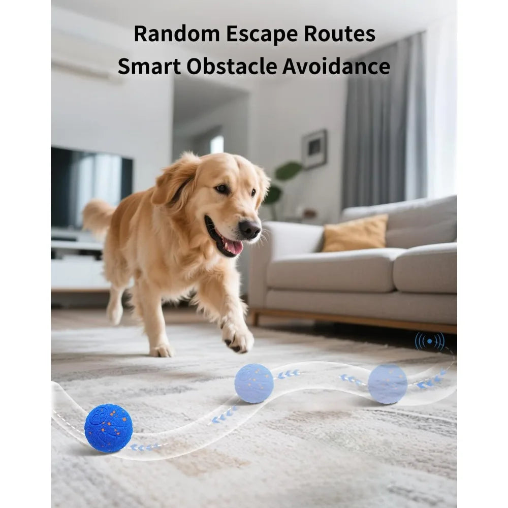 Hign-concerned Interactive Automatic Ball Toy For Dogs