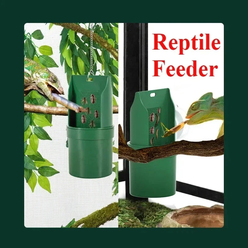 Hign-concerned Reptile Water Drinker Durable Materials Amphibian Terrarium Feeder