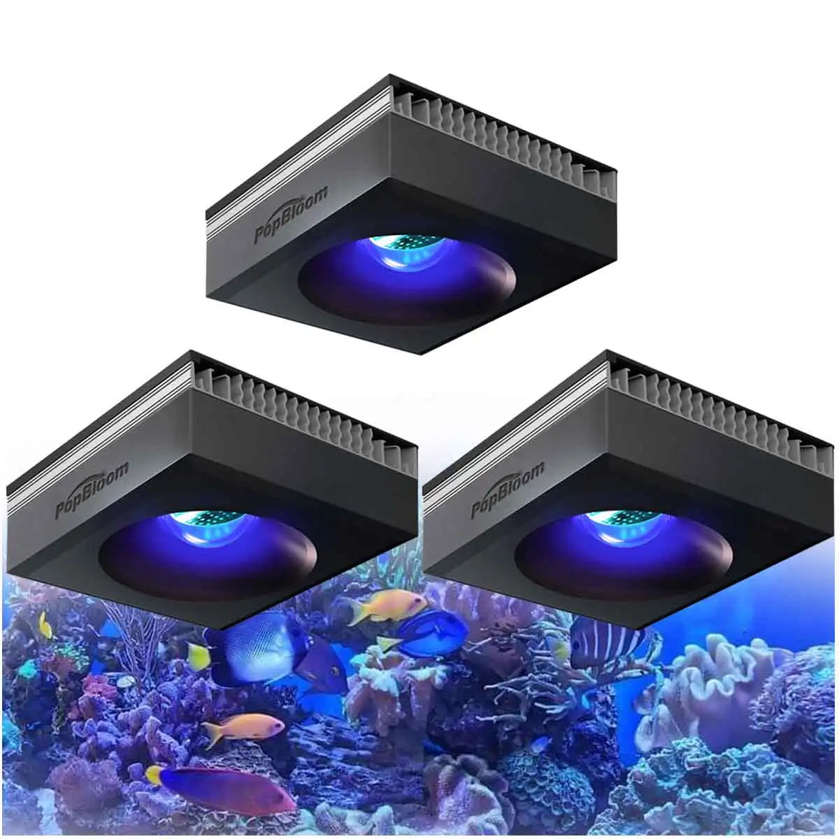 PopBloom RL90 WiFi Reef Aquarium Light 100W Full Spectrum