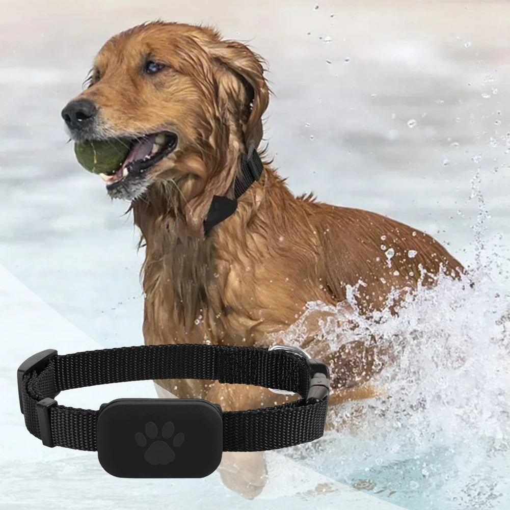 NovaSphere Pet Tracker GPS Collar Android iOS No Monthly Fee