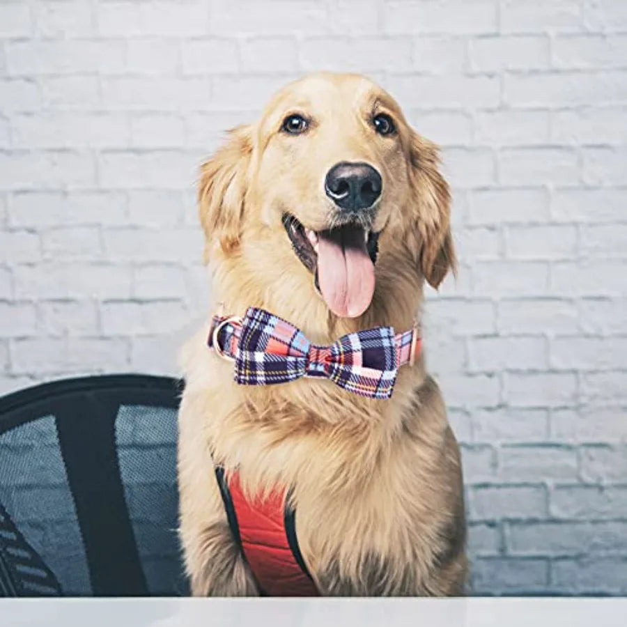 Adjustable Bow Tie Dog Collar With Printed Cute Pattern