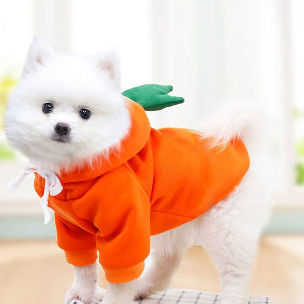 Fruit Print Dog Hoodie Fleece Coat for Pets Winter Apparel