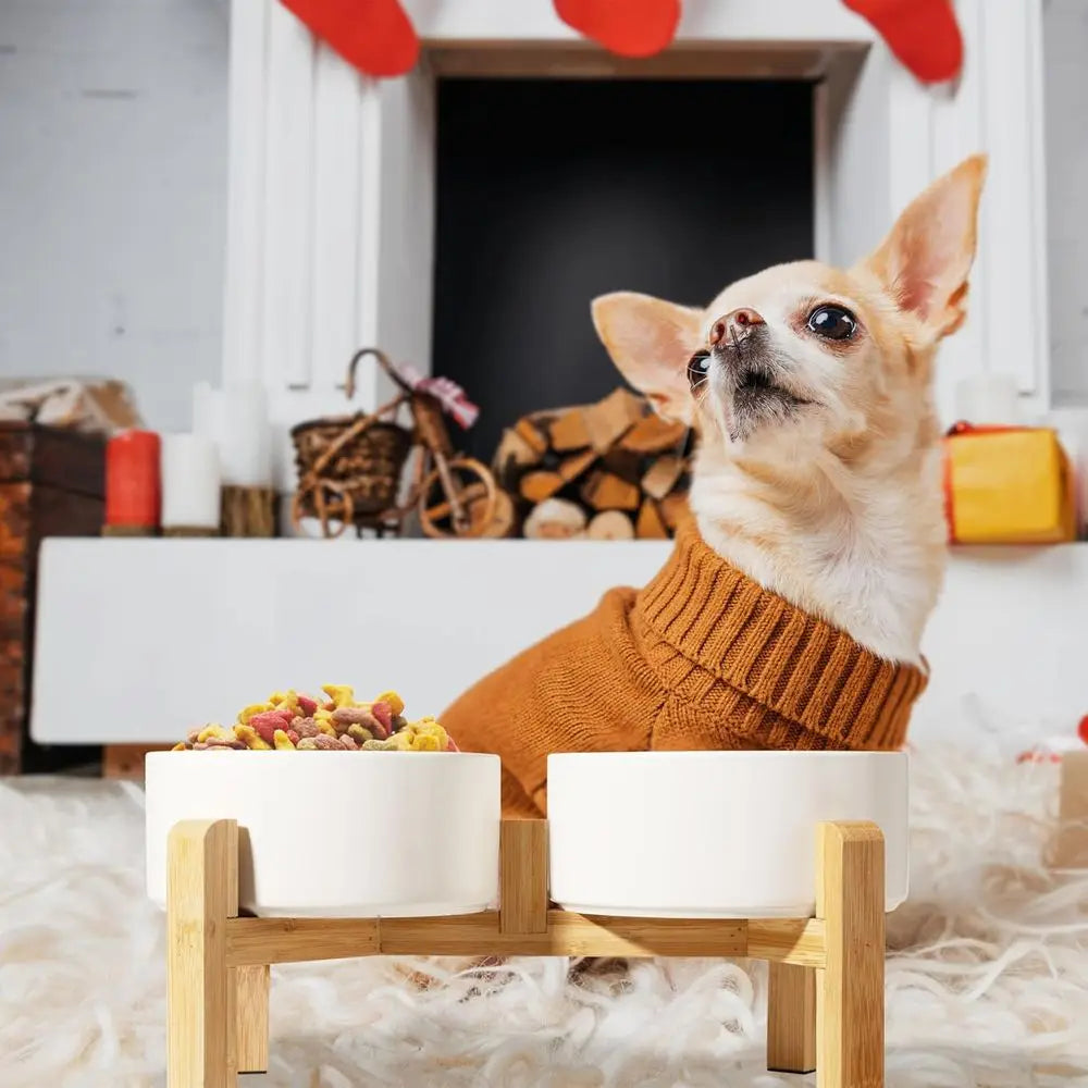 Raised Dog Bowls With Non Slip Bamboo Stand Double Feeding Bowls Set