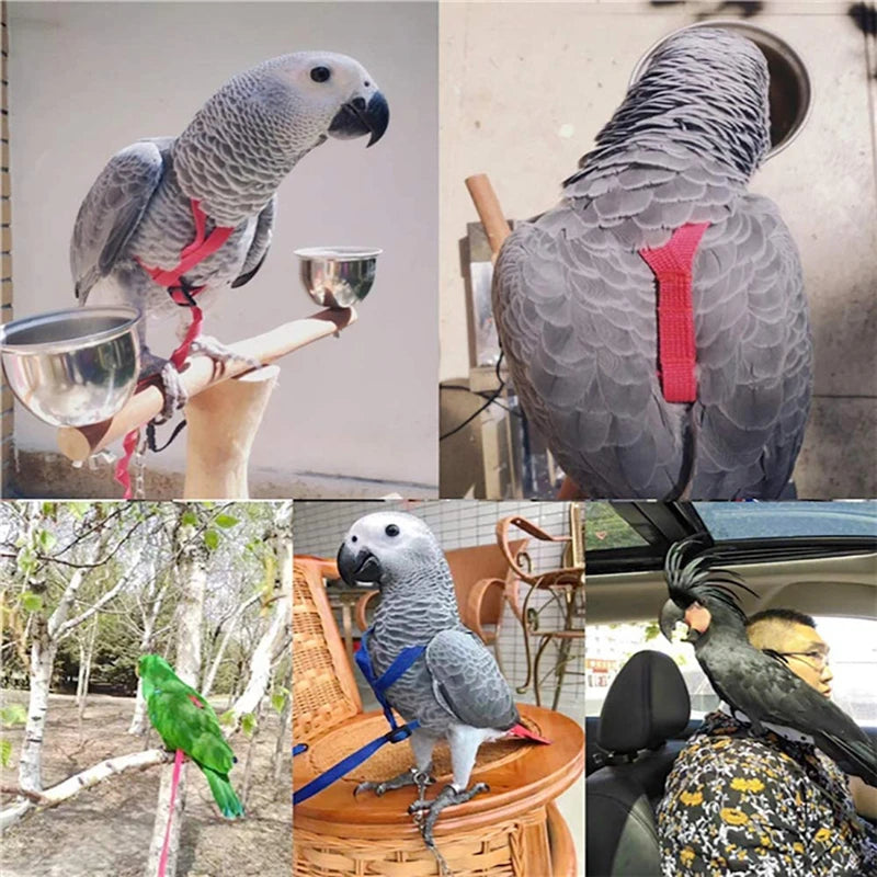Parrot Bird Harness Leash for Small Parakeets and Cockatiels