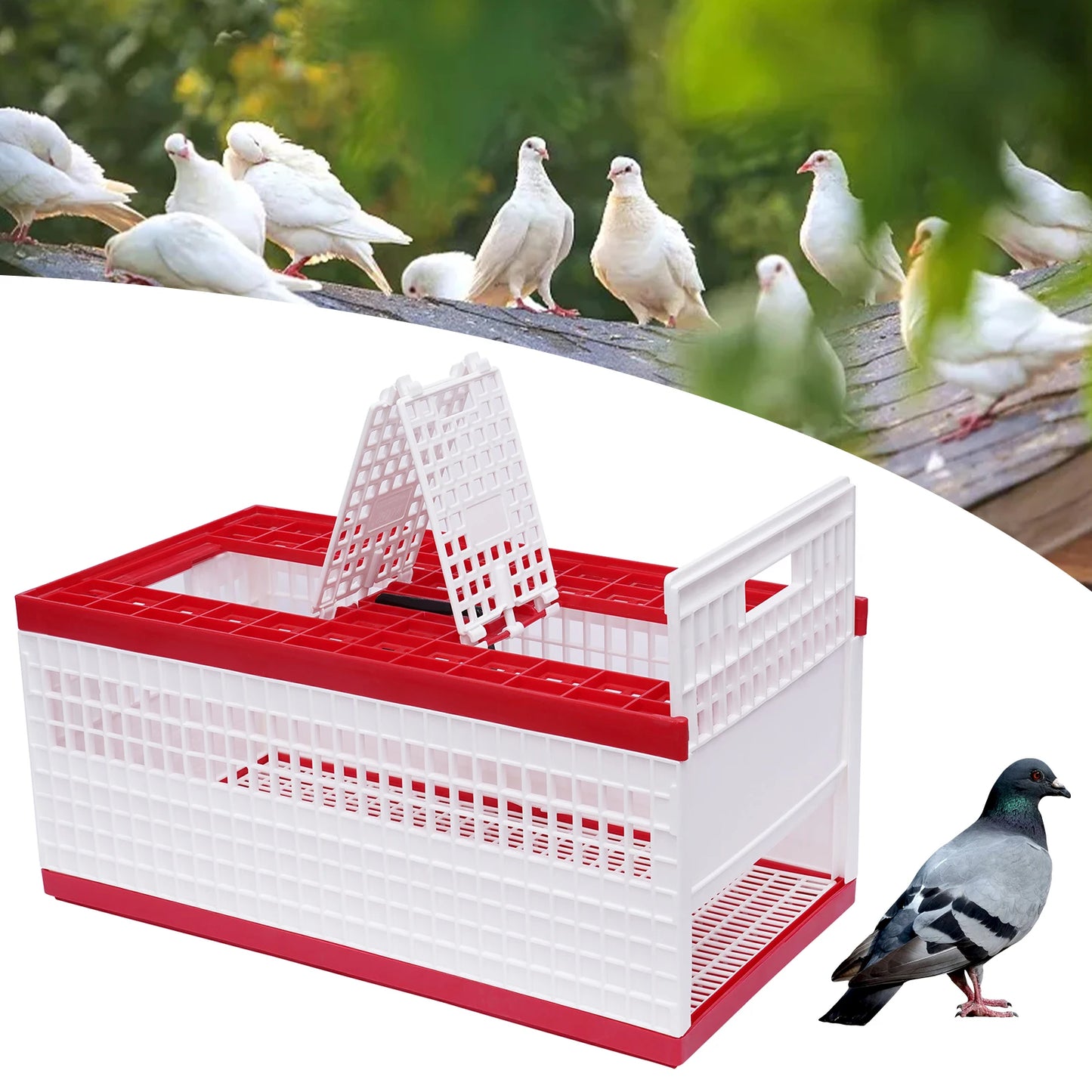 Sichuan Foldable Pigeon Cage With Handle Three-Door Transport