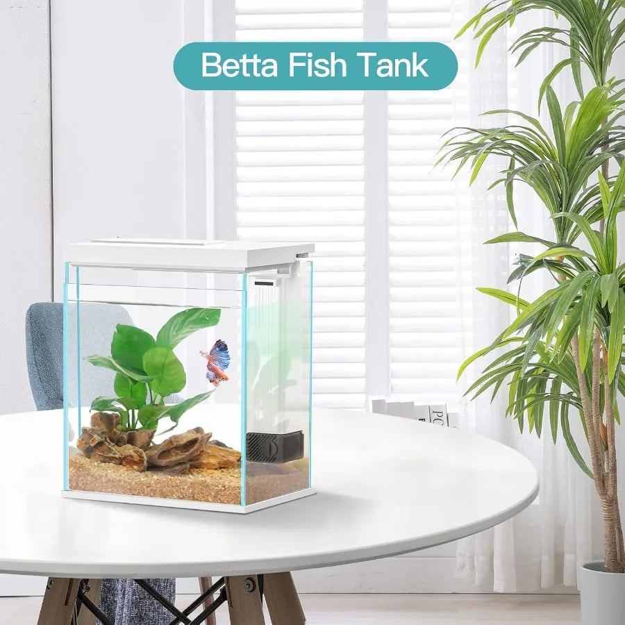 Hign Concerned Glass Betta Tank With Heater Filter LED