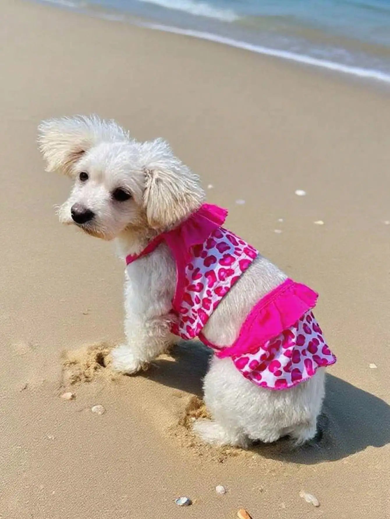 Lace Printed Camisole Dog Dress For Daily Wear And Photoshoots