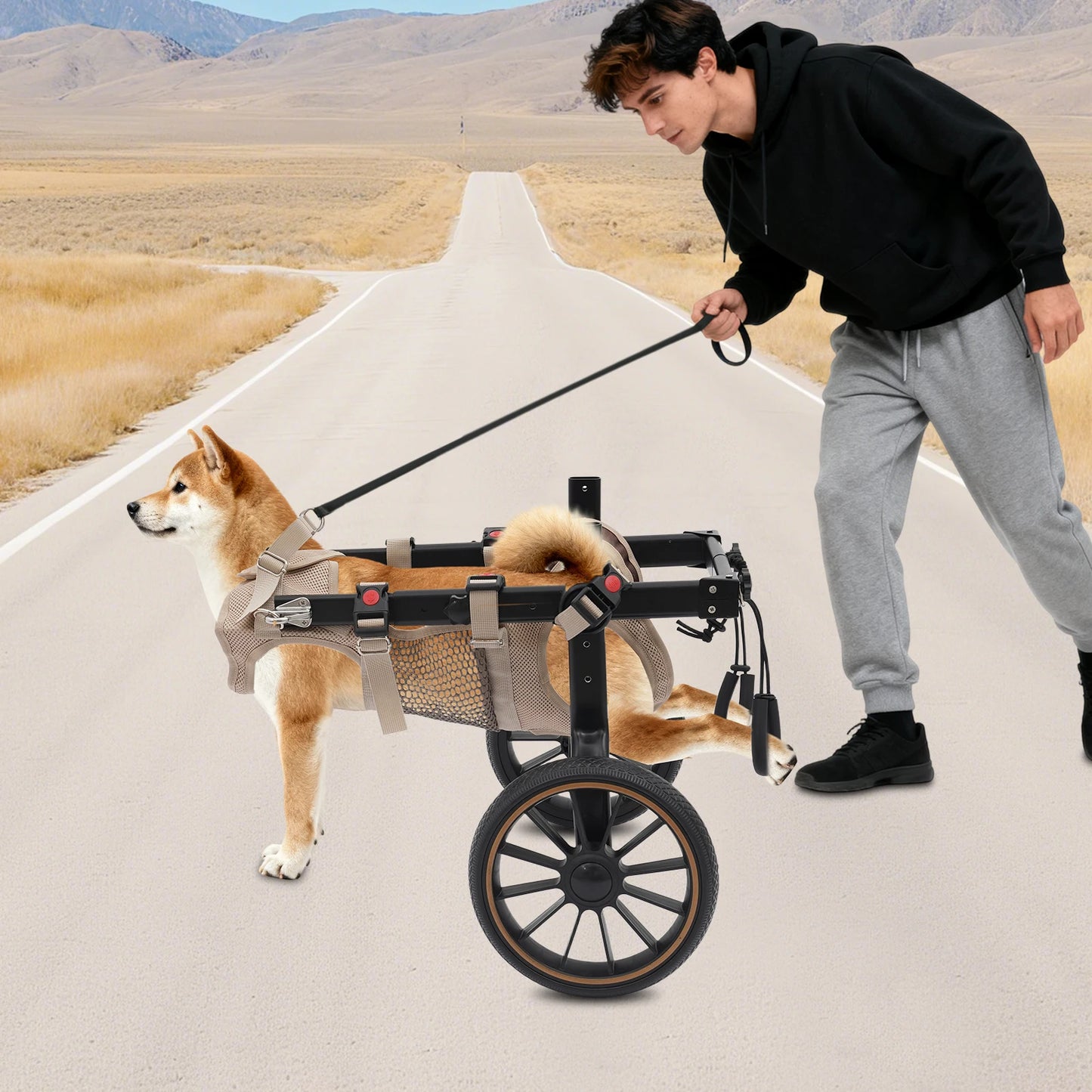 Bymaocar Adjustable Dog Wheelchair for Hind Leg Rehabilitation and Walking Aid
