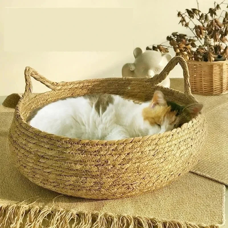 LEWENCN Four Seasons Cotton Cat Nest Bed With Removable Pad