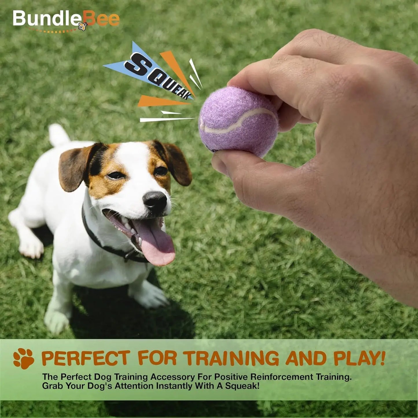 Squeaky Mini Tennis Balls for Small Dogs Training Pack