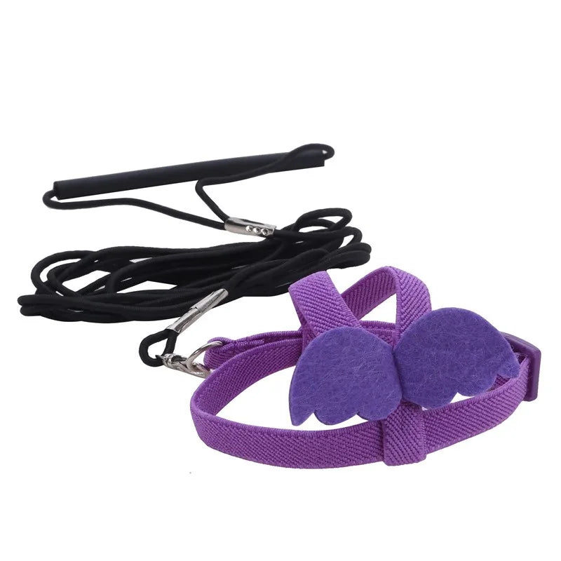 NONECN Parrot Harness Leash Set For Cockatiels Outdoor Flying
