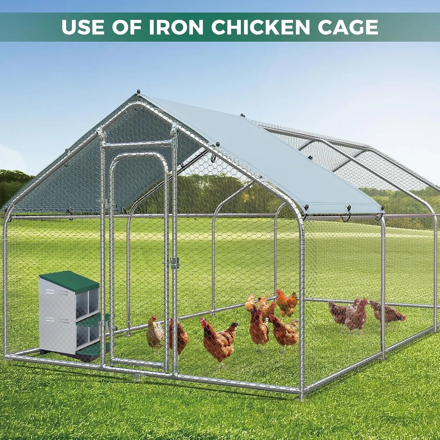 Twister CK Rollout Egg Collection Nesting Box Perch Wall Mount