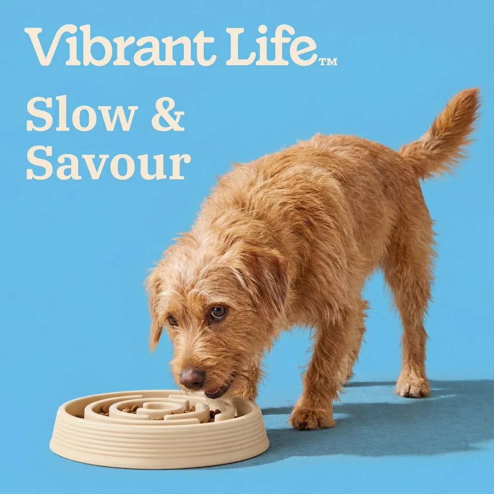 Silicone Slow Pet Feeder Maze Bowl For Dogs And Cats