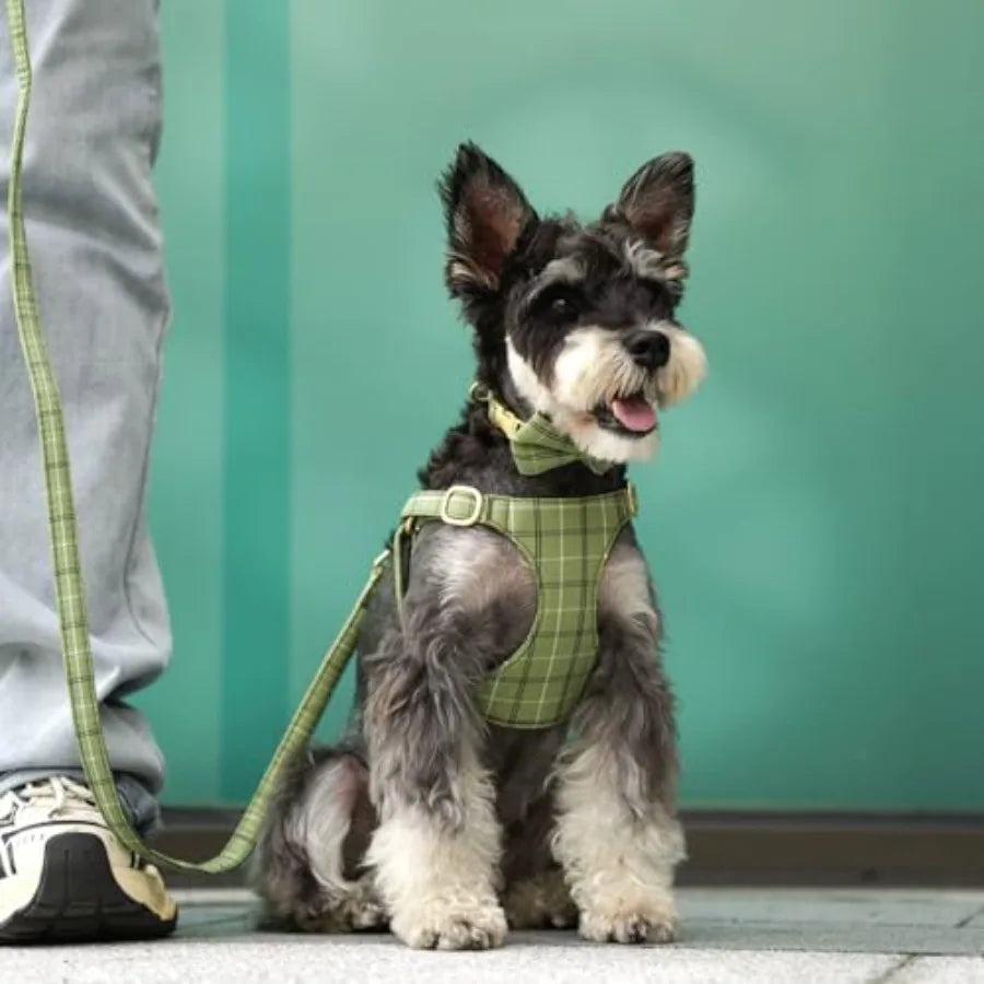 Dog Harness Collar And Leash Set With Bowtie For Pets