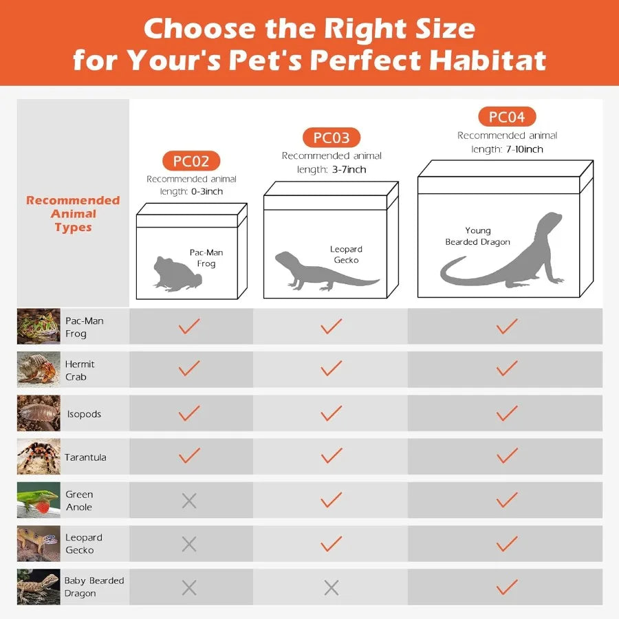 Hign-concerned Reptile Terrarium Starter Kit With Complete Accessories