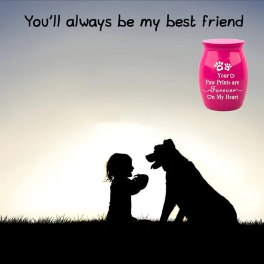 Pet Urns for Dogs Ashes Memorial Keepsake Mini Cremation Urn