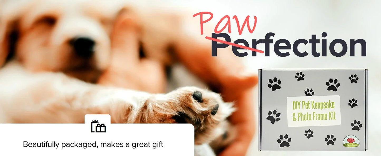 Pet Pawprint Keepsake Kit With Wood Frame For Pet Memorial
