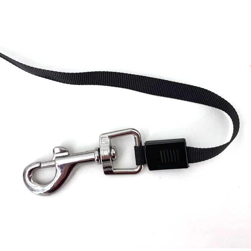 3M 5M Retractable Dog Leash Auto Flexible Rope Belt