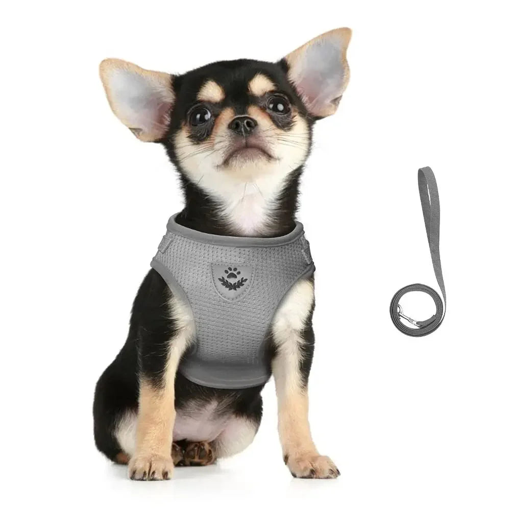 Cat Harness Leash Set Reflective Escape Proof Mesh Vest