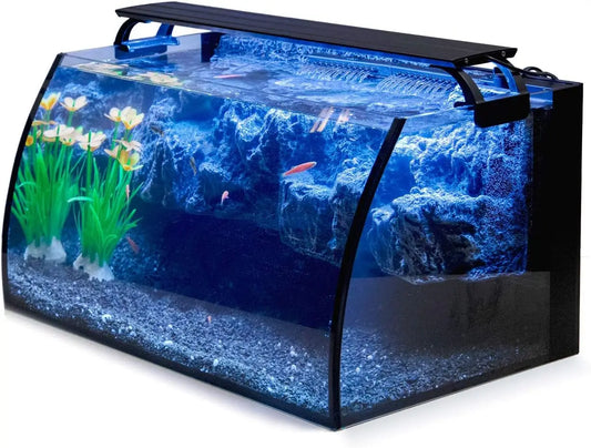 Curved Glass Aquarium Kit With LED Light And Filter