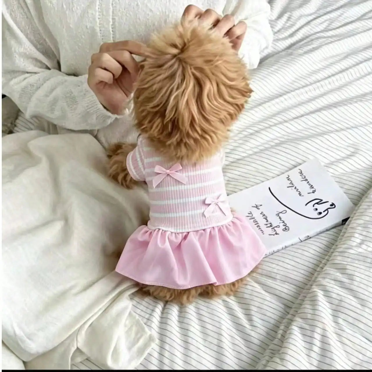 Dog Striped Casual Dress Lightweight Fabric For Spring Summer