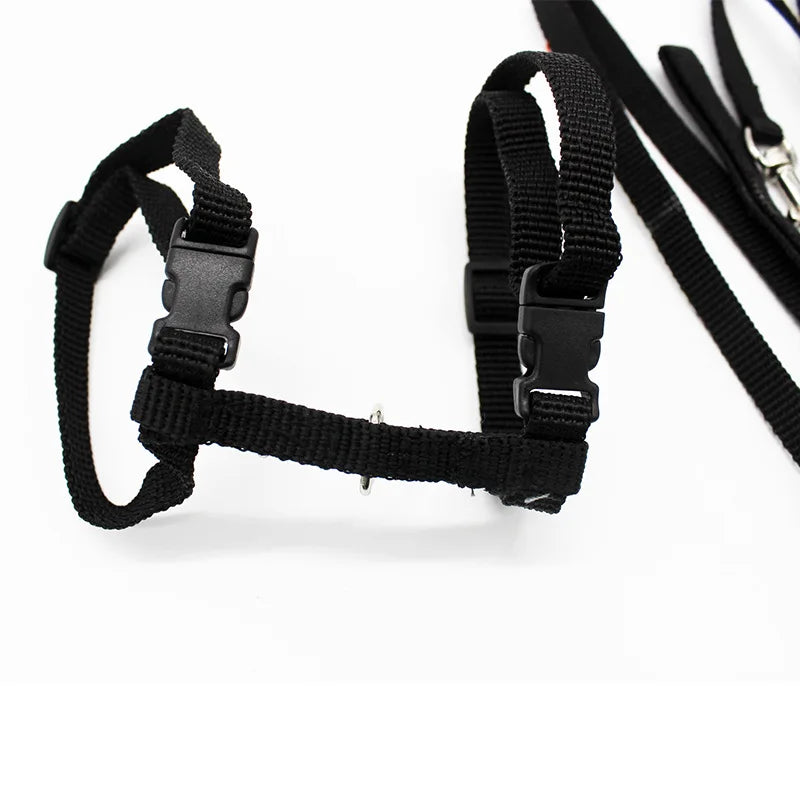 Adjustable Cat Collar Harness Leash Set Nylon For Cats