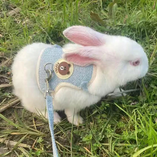 NONED Cute Rabbit Harness and Leash Set for Outdoor Walking