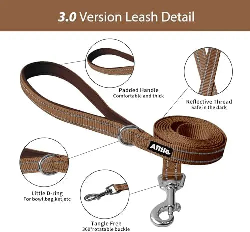 YTYIN Adjustable Dog Harness And Leash Set With Padded Vest