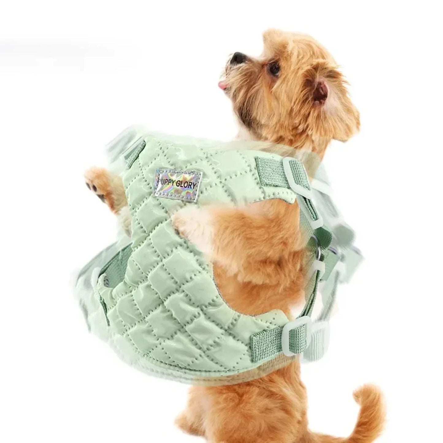 Waterproof Dog Harness Vest For Small To Medium Dogs Adjustable