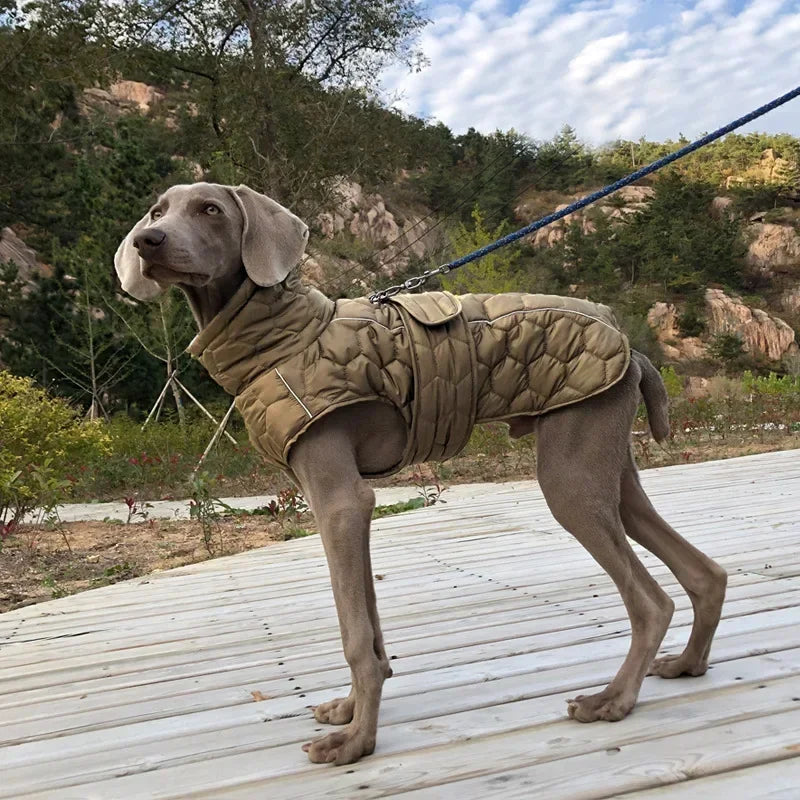 Winter Reflective Snowsuit for Dogs Waterproof Down Jacket