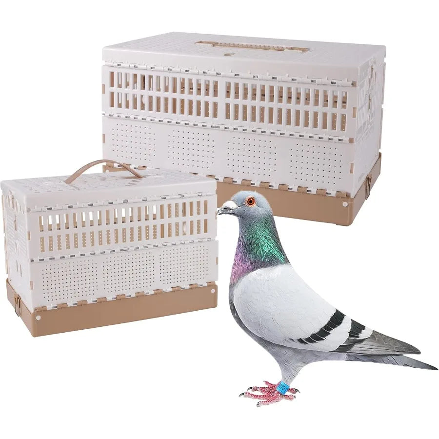 CN Guangdong Plastic Foldable Pigeon Cage With Handle Travel Carrier
