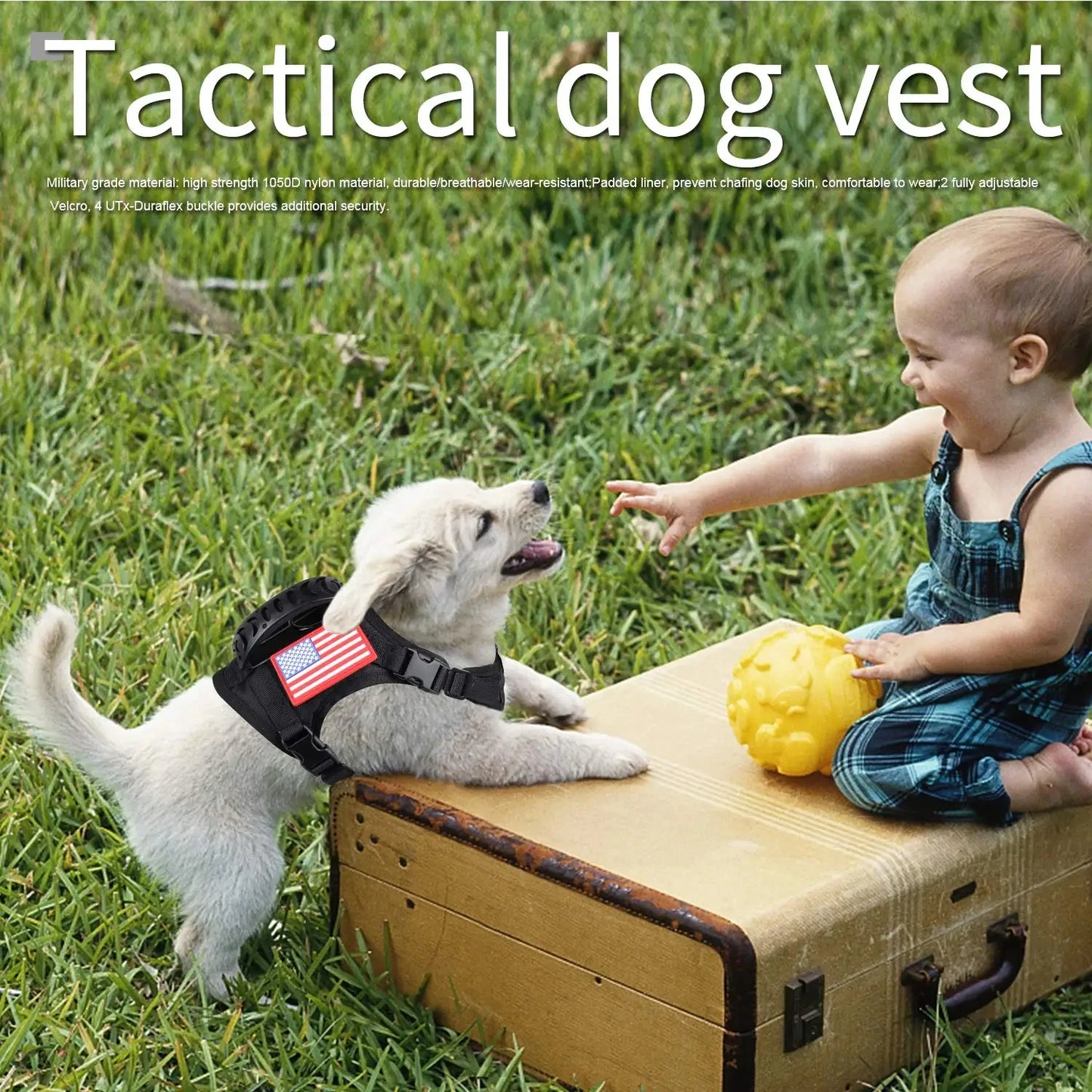 Tactical Puppy Harness Leash Set For Small Dogs Training Kit
