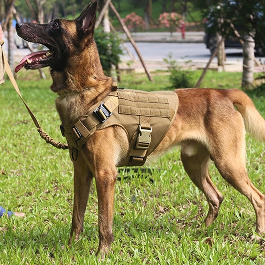 PETRAVELCN Dog Harness And Leash Set Vest For Dogs