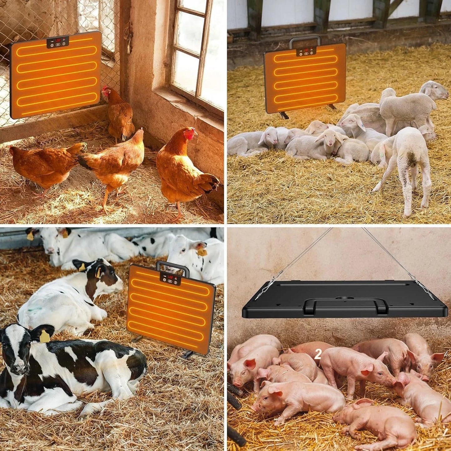 Chicken Coop Thermostatic Heater For Poultry And Farm Animals