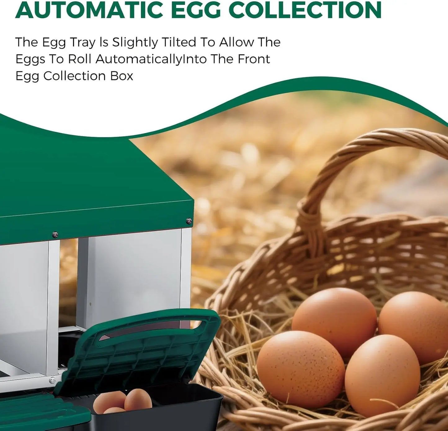 Twister CK Rollout Egg Collection Nesting Box Perch Wall Mount
