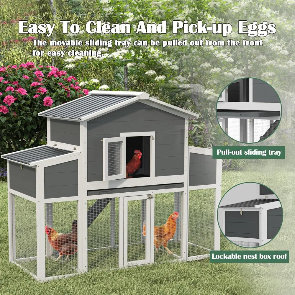 Cedar Chicken Coop 2 To 6 Chickens With Nest Boxes