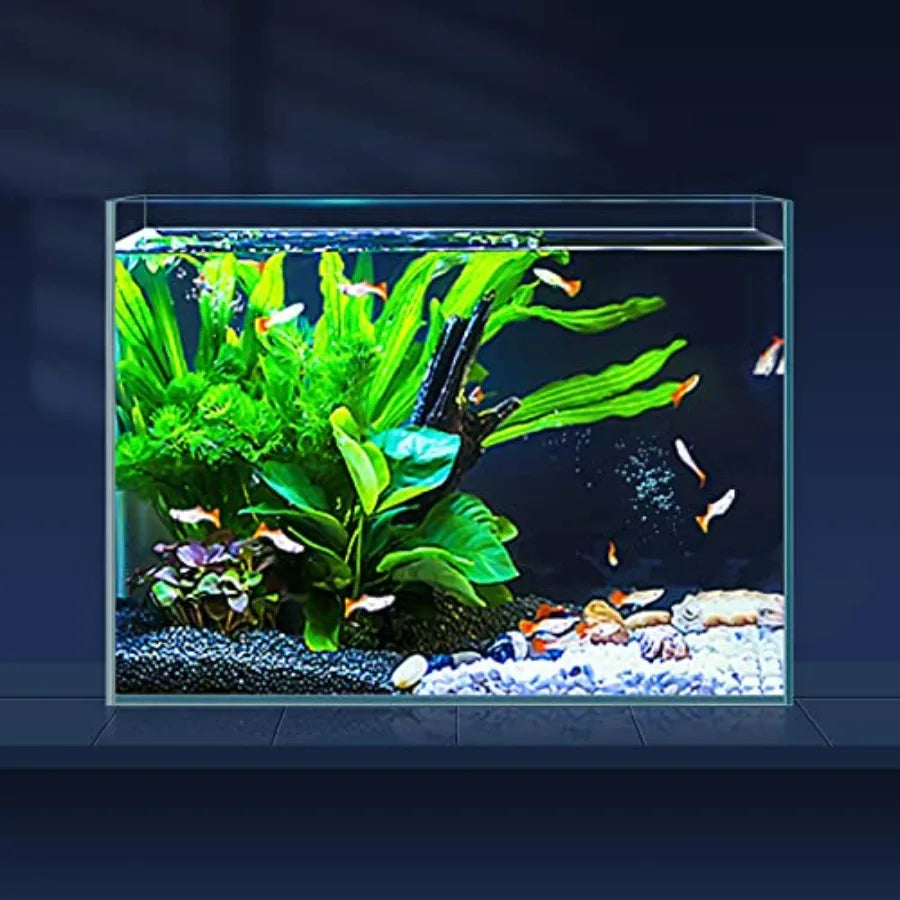 Rimless Glass Aquarium Starter Kit Ultra Clear Low Iron Tank