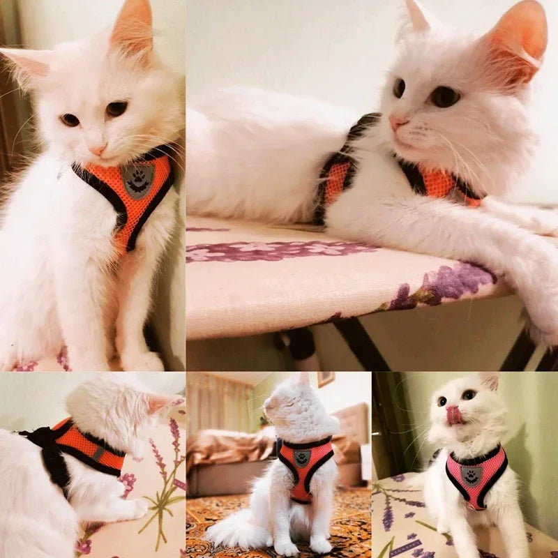 Adjustable Polyester Cat Harness Vest With Leash For Small Pets