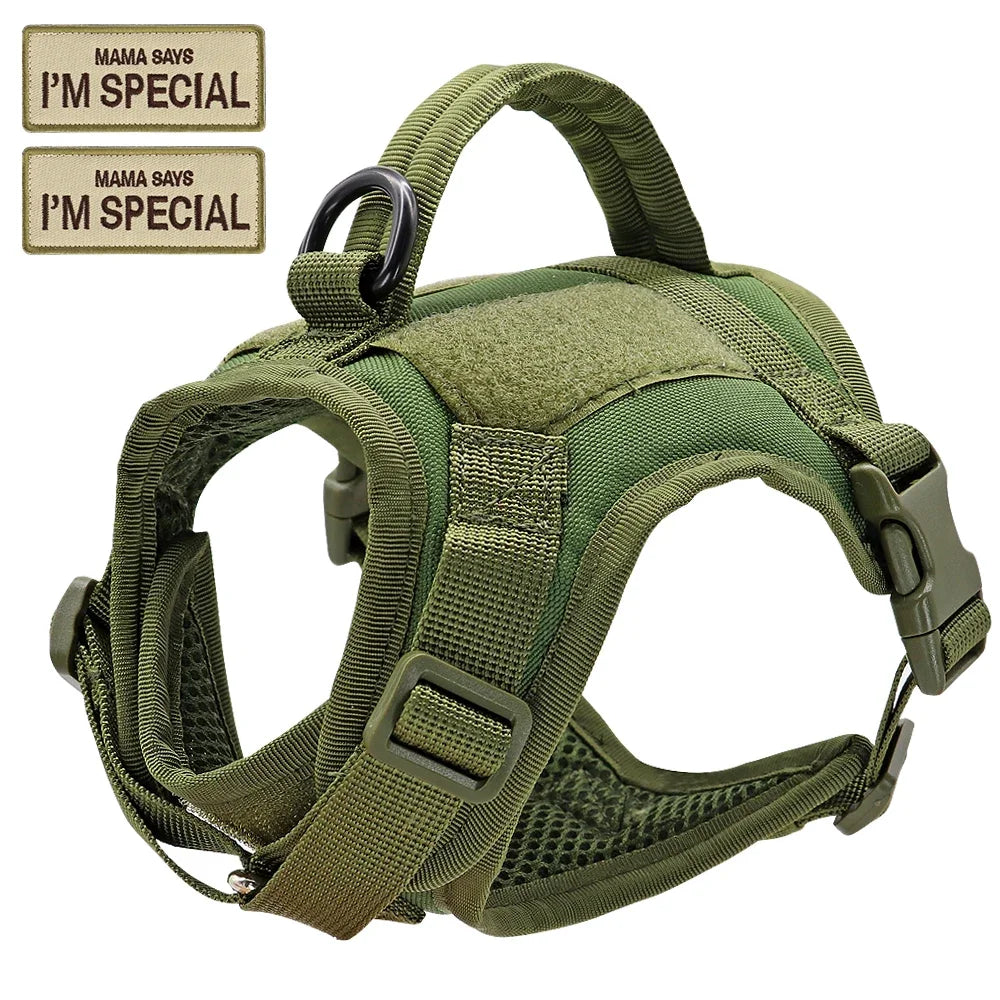 Nylon Cat Harness Vest With Handle For Cats And Dogs