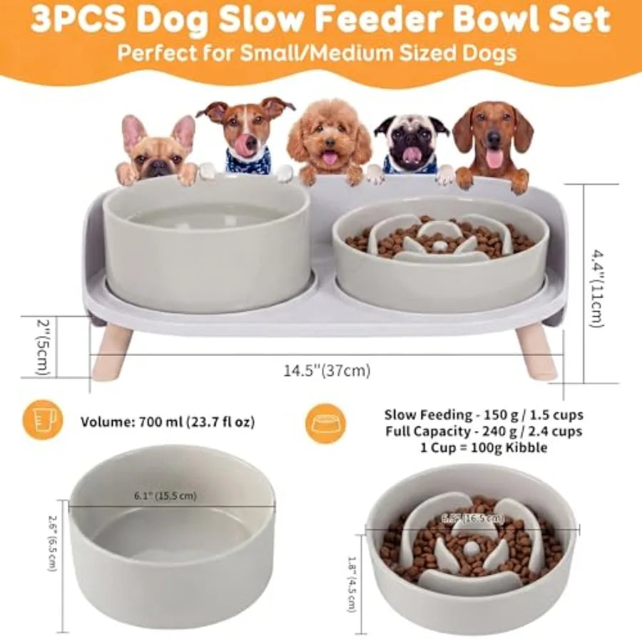Elevated Slow Feeder Dog Bowls With Stand For Small Dogs