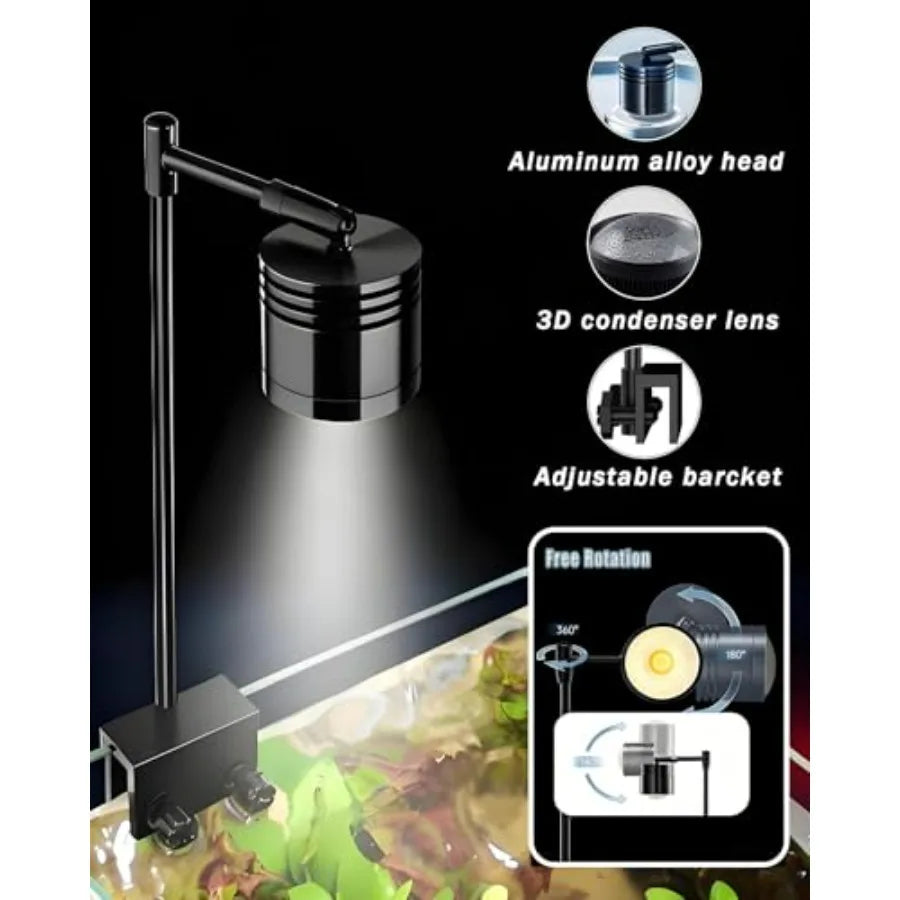 Fish Tank Aquarium Starter Kit With Filter And LED