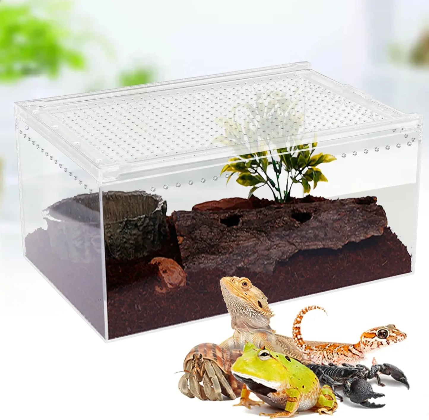 Hign-concerned Magnetic Acrylic Reptile Enclosure Breeding Box