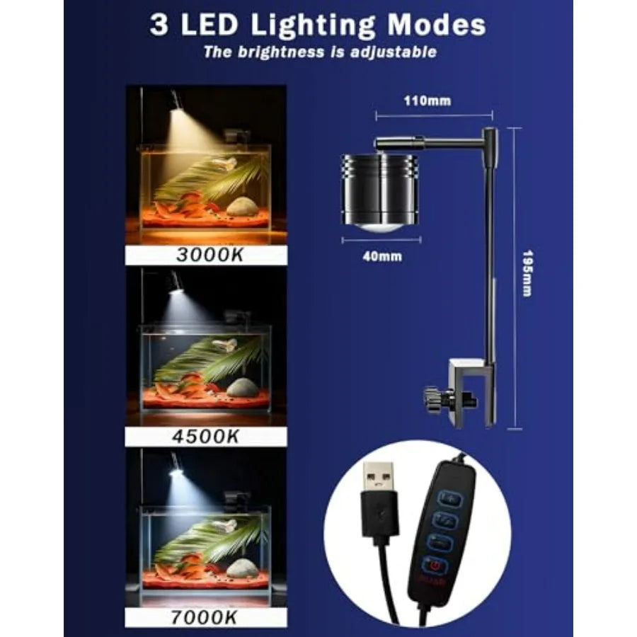 Fish Tank Aquarium Starter Kit With Filter And LED