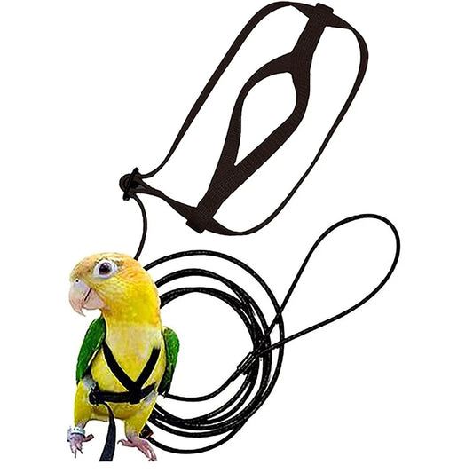 Parrot Bird Harness Leash for Small Parakeets and Cockatiels