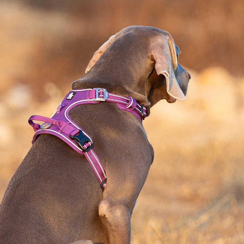 Winhyepet Reflective Training Dog Harness Nylon Padding Vest