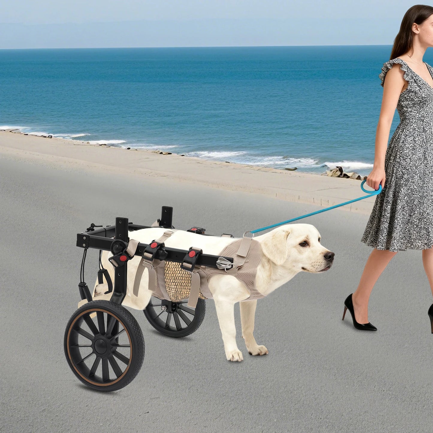 Pet Walking Aid Adjustable Dog Wheelchair for Hind Legs